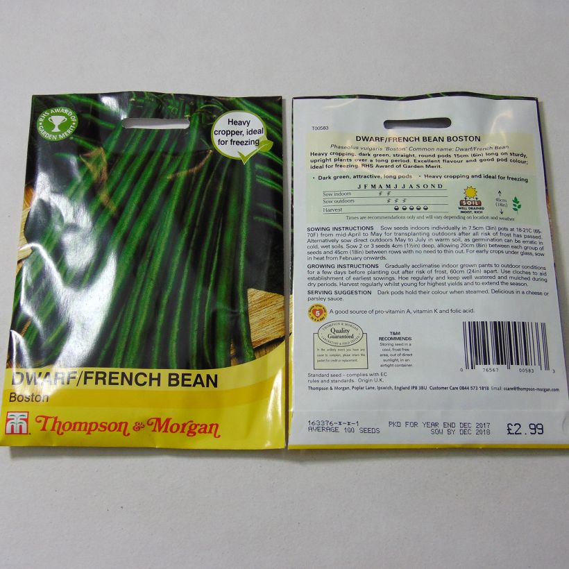 Beispiel eines Exemplars von Zwergbohne Boston die Tüte mit 100 Samen ungefähr wie geliefert