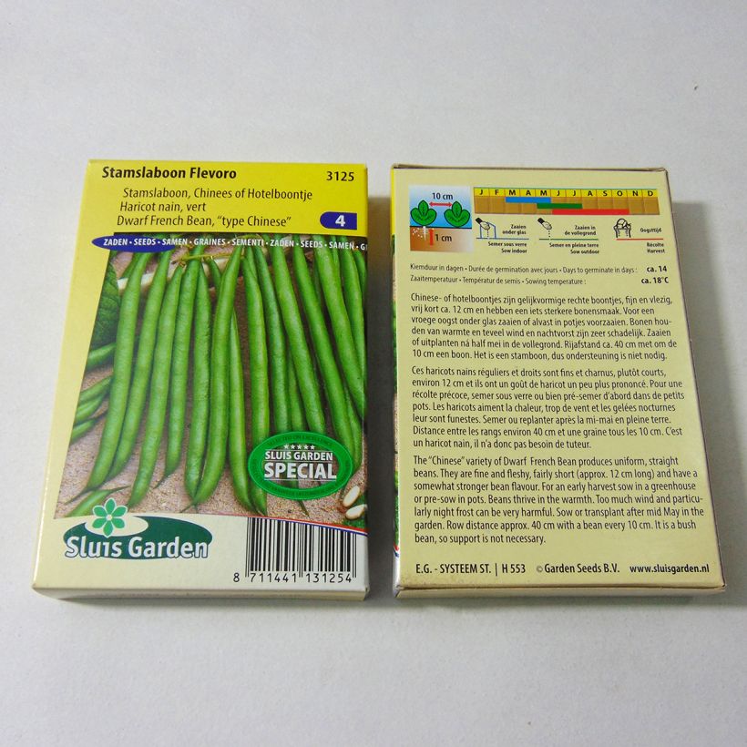 Beispiel eines Exemplars von Zwergbohne Baccara die Tüte mit Samen von 65 Gramm wie geliefert