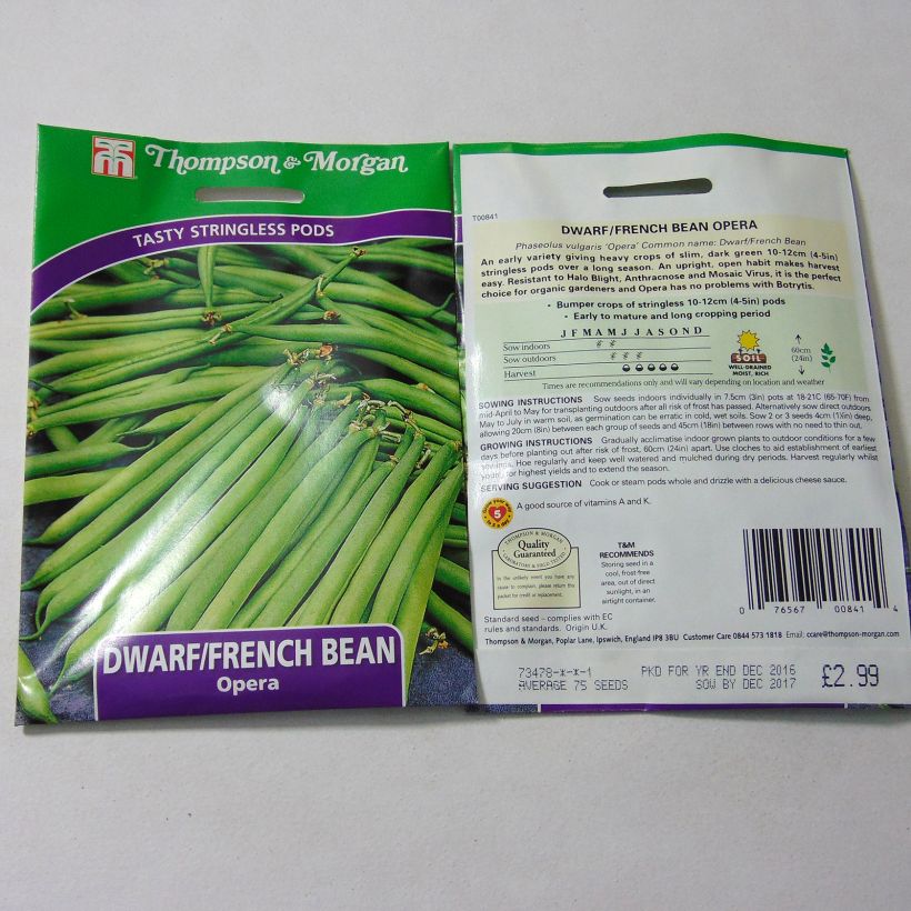 Beispiel eines Exemplars von Zwergbohne Opera die Tüte mit 75 Samen ungefähr wie geliefert