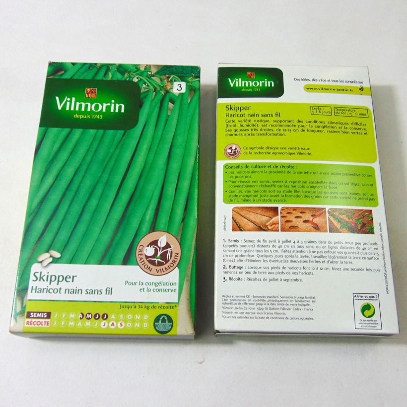 Beispiel eines Exemplars von Zwergbohne Skipper - Vilmorin die Tüte mit 400 Samen ungefähr (200g) wie geliefert