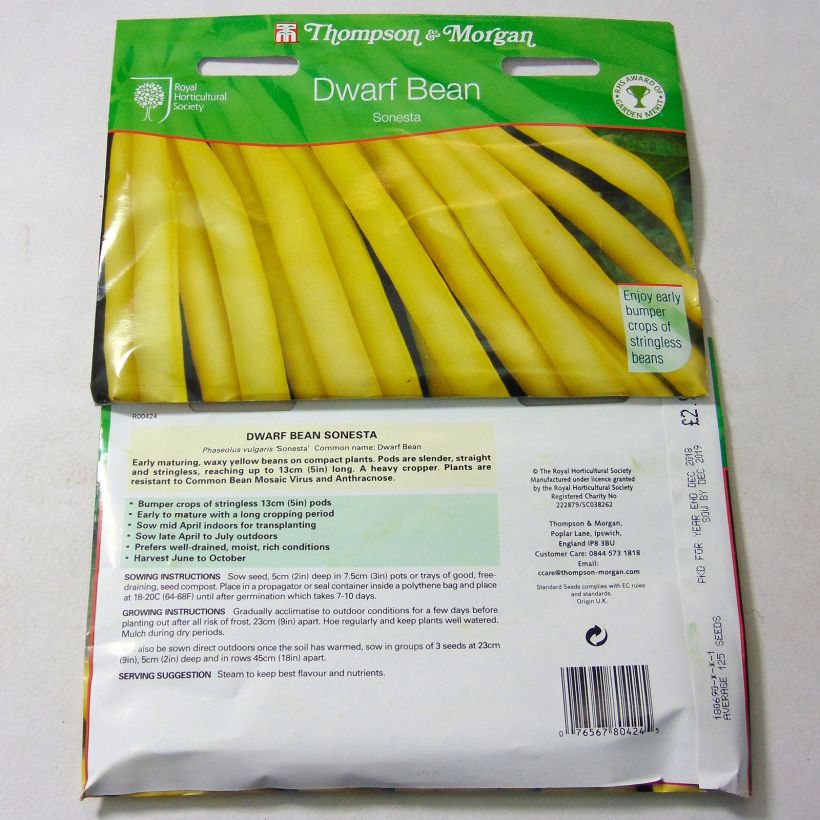 Beispiel eines Exemplars von Zwergbohne Sonesta die Tüte mit 125 Samen ungefähr wie geliefert