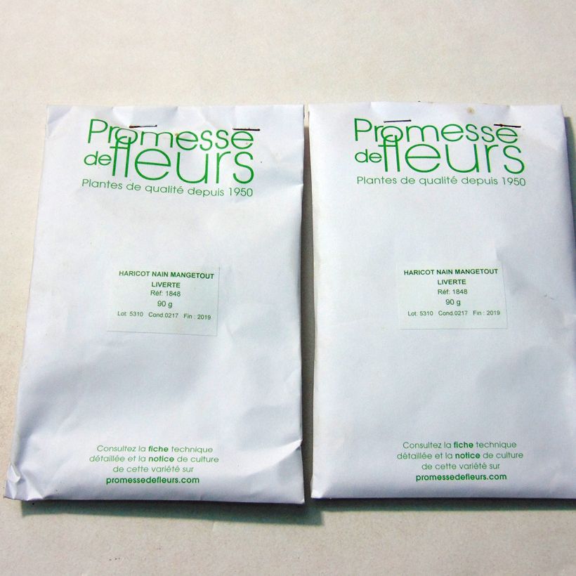 Beispiel eines Exemplars von Zwergbohne Liverte die Tüte mit 180 Samen ungefähr (90g) wie geliefert