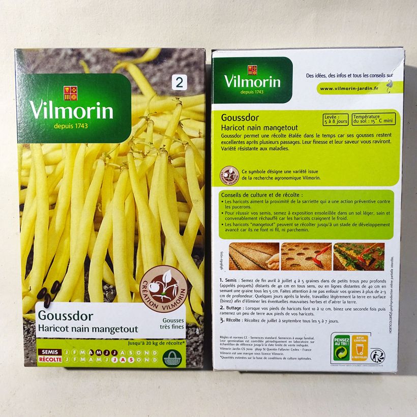 Example of Zwergbohne Goussdor - Vilmorin die Tüte mit 400 Samen ungefähr (200g) as you get