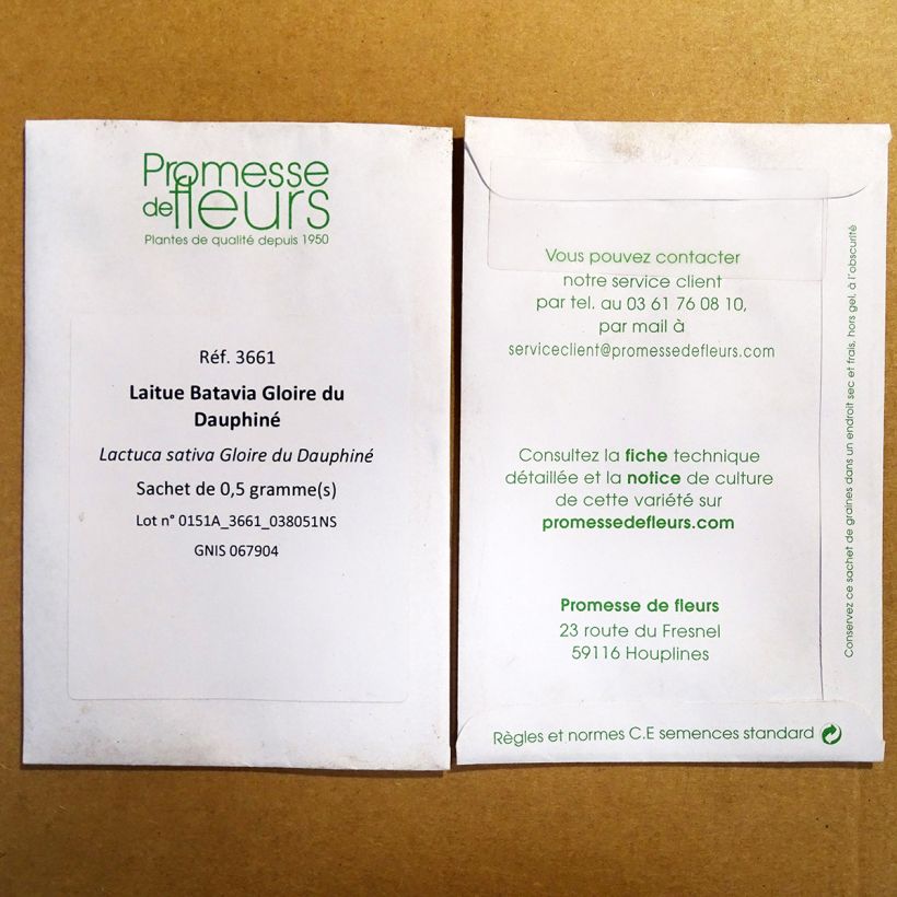 Example of Bataviasalat Gloire du Dauphiné die Tüte mit 400 Samen ungefähr as you get