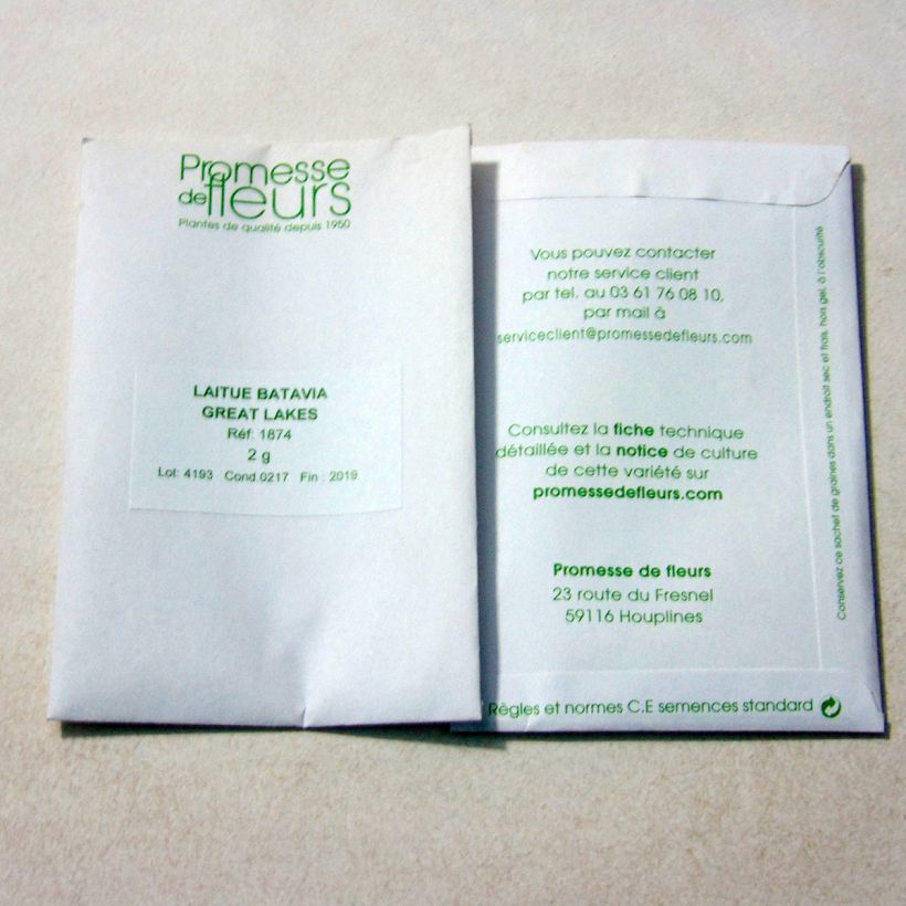 Beispiel eines Exemplars von Bataviasalat Great Lakes 118 die Tüte mit 1600 Samen ungefähr (2g) wie geliefert