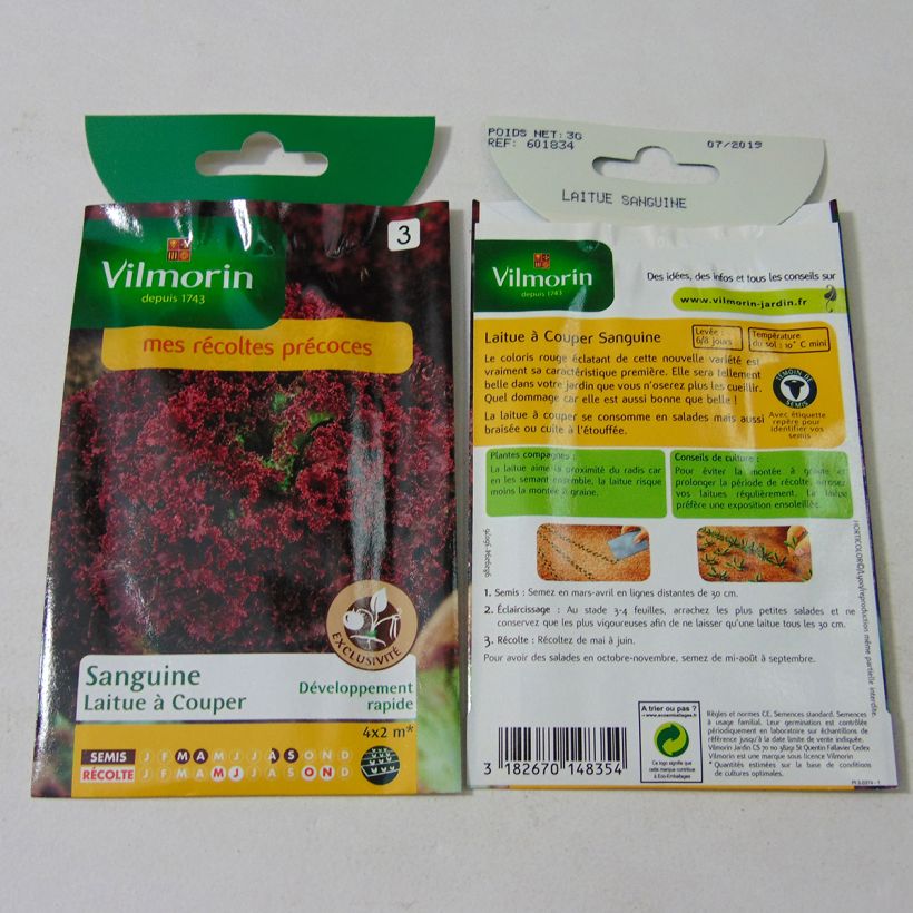 Example of Bataviasalat Sanguine die Tüte mit 2400 Samen ungefähr (3g) as you get