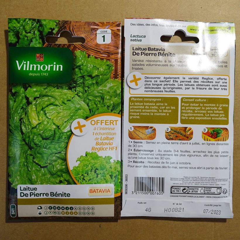 Beispiel eines Exemplars von Bataviasalat Pierre Bénite - Vilmorin die Tüte mit 3200 Samen ungefähr (4g) wie geliefert