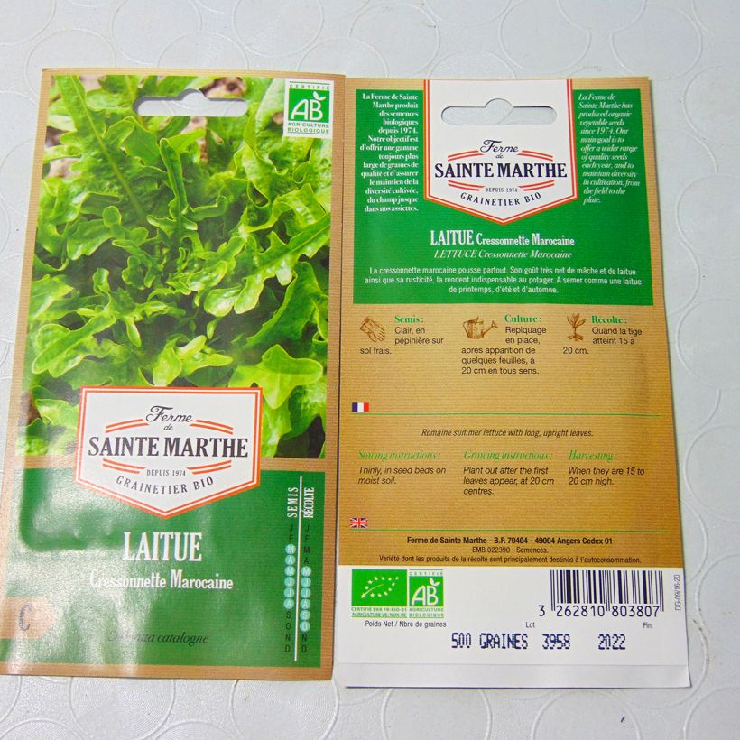 Example of Schnitt-Salat Radichetta Bio - Ferme de Sainte Marthe die Tüte mit 400 Samen ungefähr as you get