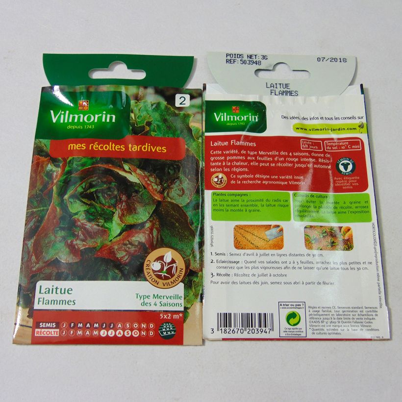 Example of Kopfsalat Flammes die Tüte mit 2400 Samen ungefähr (3g) as you get