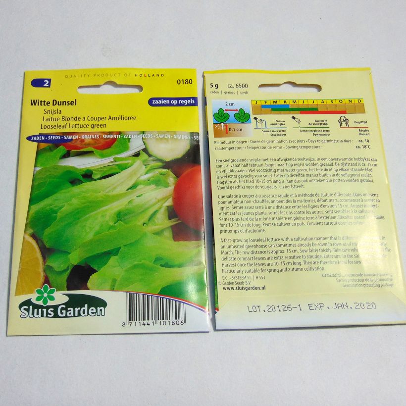 Example of Schnittsalat Blonde améliorée die Tüte mit 6500 Samen ungefähr (5g) as you get