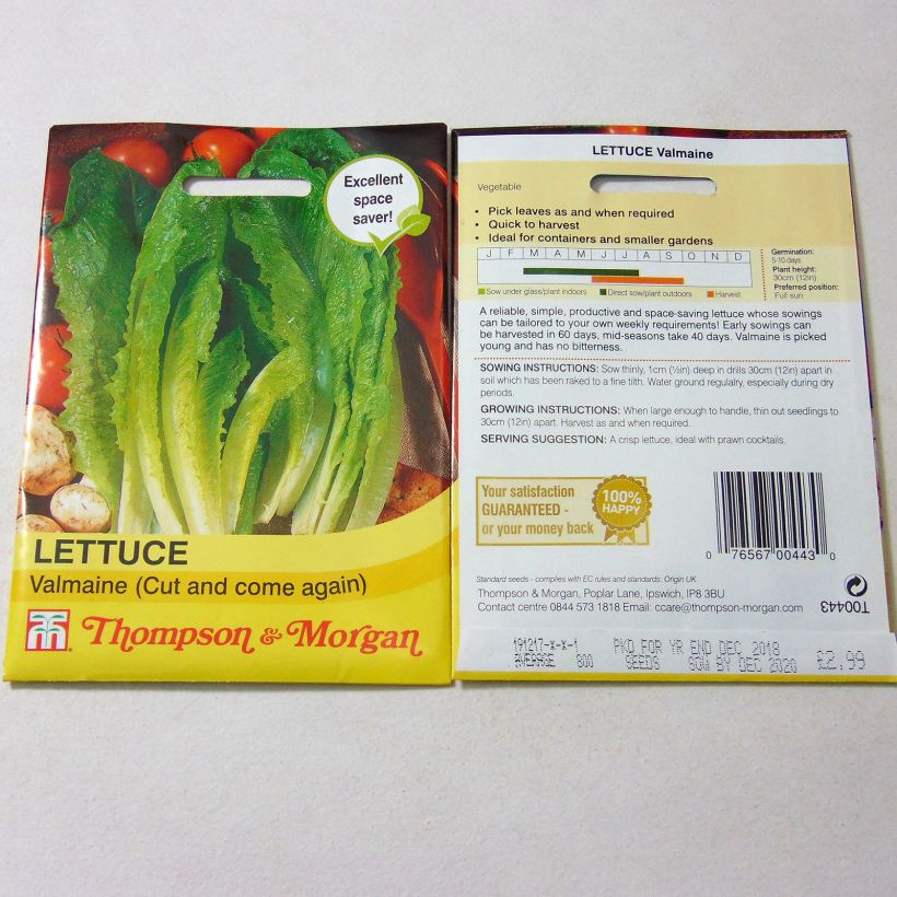 Beispiel eines Exemplars von Schnittsalat Valmaine die Tüte mit 800 Samen ungefähr wie geliefert