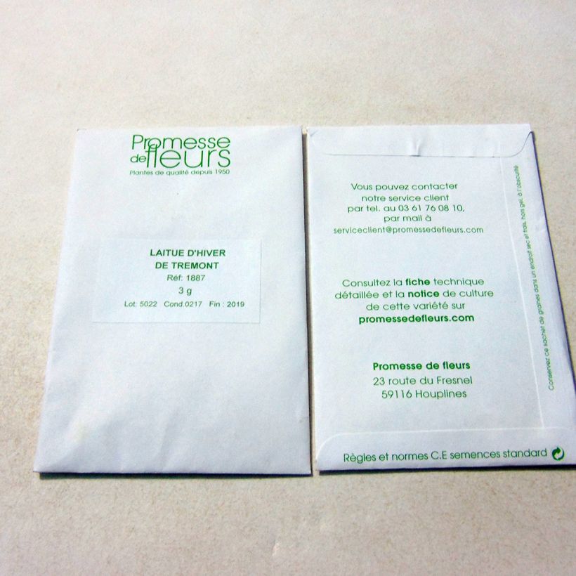 Beispiel eines Exemplars von Kopfsalat Trémont Passion Blonde die Tüte mit 2500 Samen ungefähr (3g) wie geliefert