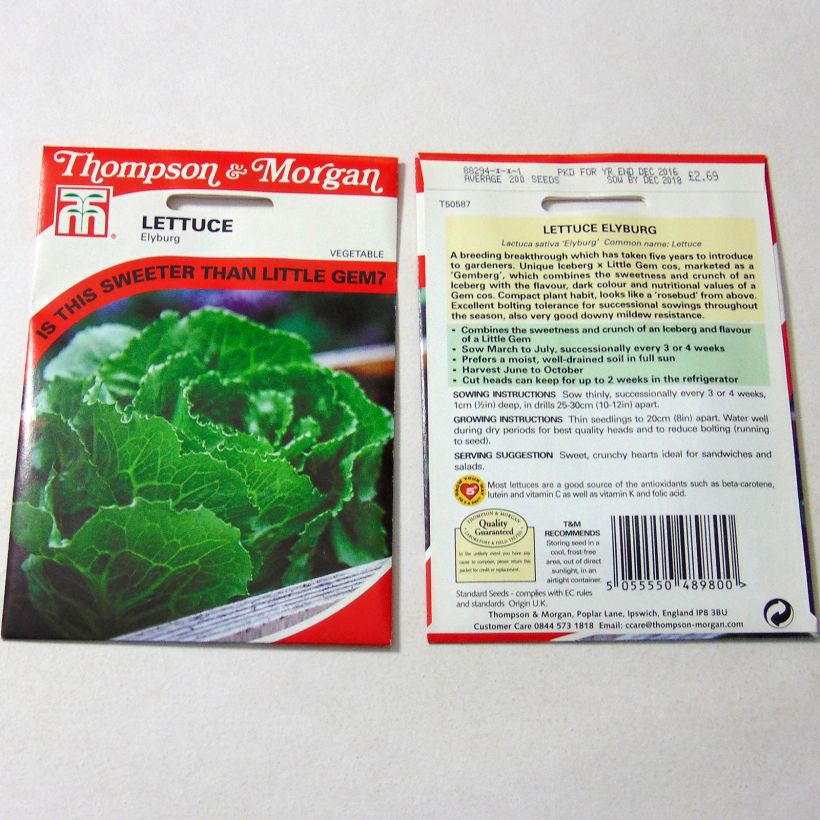 Beispiel eines Exemplars von Kopfsalat Elyburg die Tüte mit 200 Samen ungefähr wie geliefert