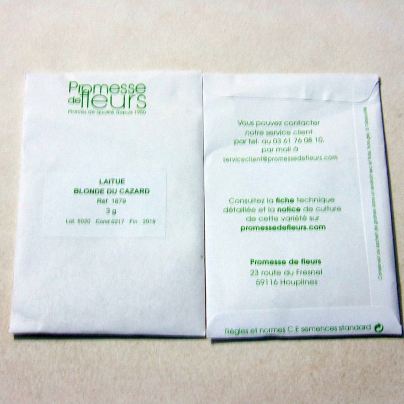 Beispiel eines Exemplars von Kopfsalat Blonde du Cazard die Tüte mit 2500 Samen ungefähr (3g) wie geliefert