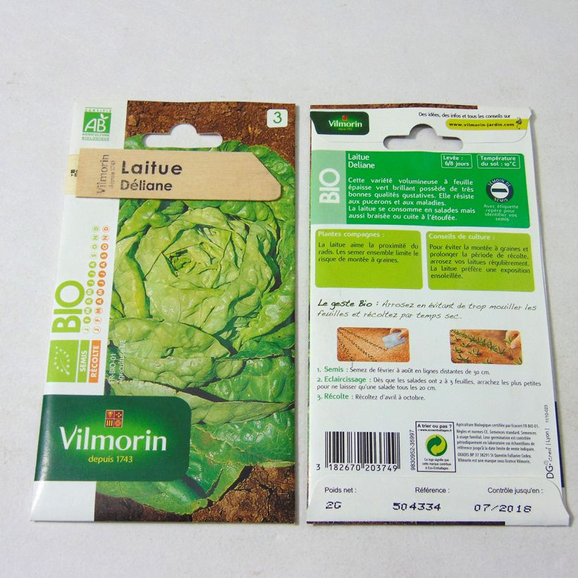 Example of Kopfsalat Deliane Bio - Vilmorin die Tüte mit 1600 Samen ungefähr (2g) as you get