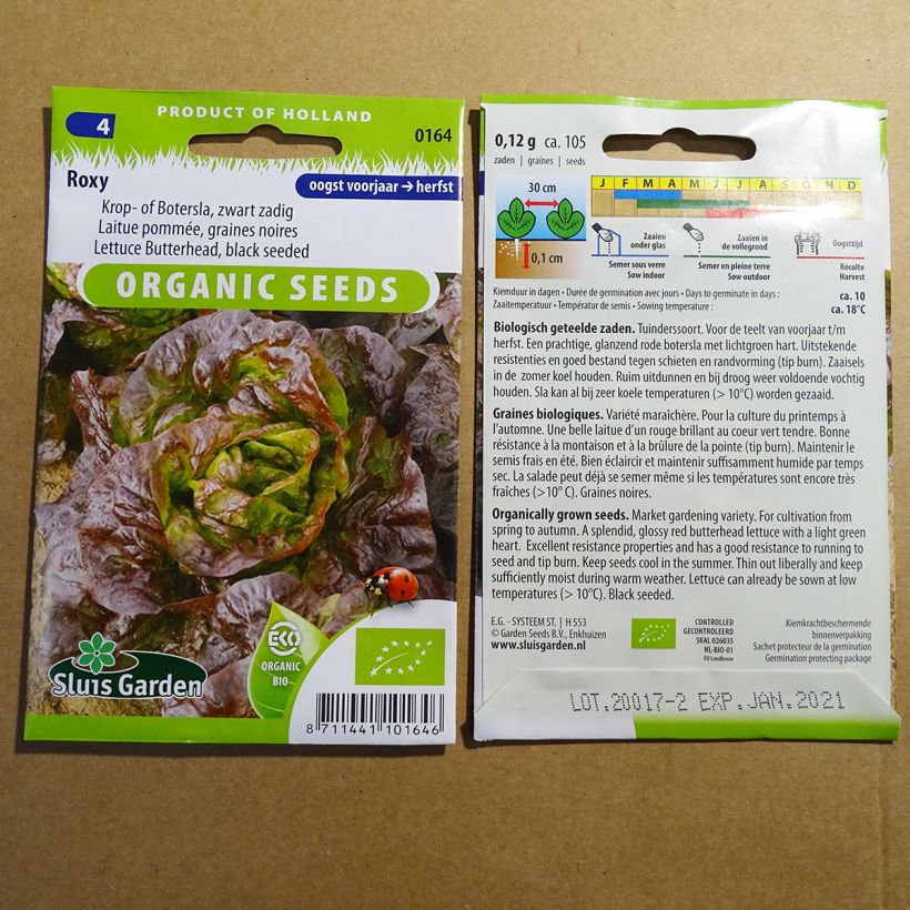 Beispiel eines Exemplars von Kopfsalat Roxy Bio die Tüte mit 105 Samen ungefähr (0.12g) wie geliefert