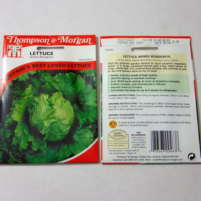 Example of Kopfsalat Webbs Wonderful die Tüte mit 1500 Samen ungefähr as you get