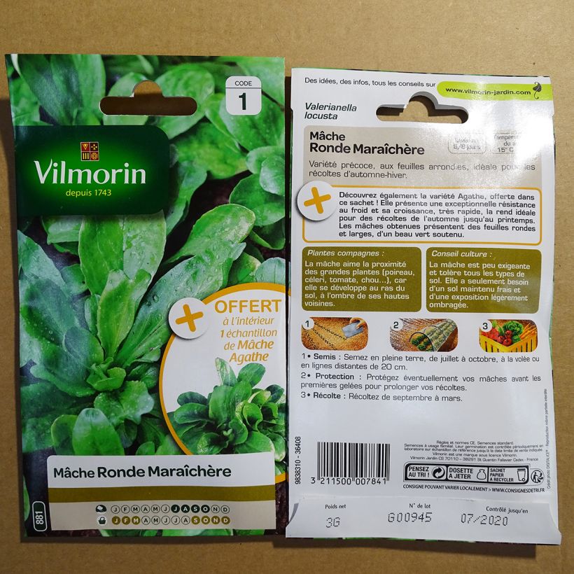 Beispiel eines Exemplars von Gewöhnlicher Feldsalat Ronde Maraîchère - Vilmorin die Tüte mit 1900 Samen ungefähr (3g) wie geliefert