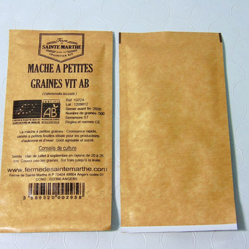 Beispiel eines Exemplars von Gewöhnlicher Feldsalat Vit die Tüte mit 500 Samen ungefähr (1g) wie geliefert