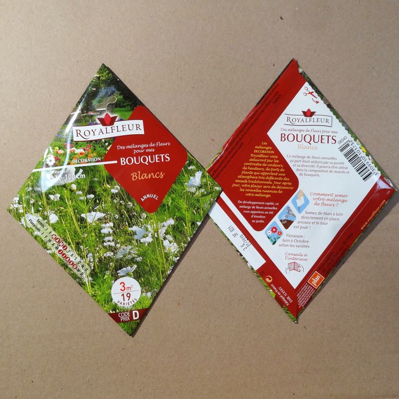 Beispiel eines Exemplars von Blumenmischung für weiße Blumensträuße zum Säen - Beutel für 3 m2 die Tüte mit Samen von 3 Gramm wie geliefert