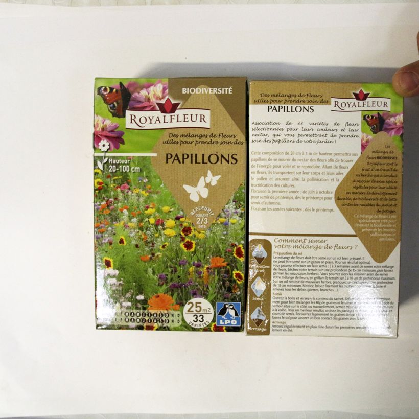 Beispiel eines Exemplars von Schmetterlingsanziehendes Mischung - Box für 25 m2 die Tüte mit Samen von 40 Gramm wie geliefert