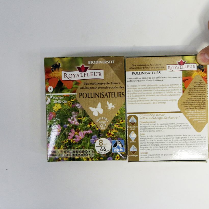 Beispiel eines Exemplars von Pollinator-Anziehungsmischung - 8 m² Box die Tüte mit Samen von 14 Gramm wie geliefert