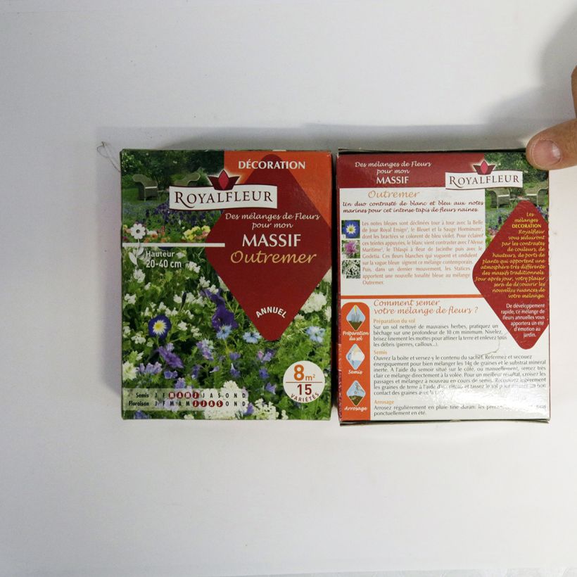 Example of Staudenmischung Blau - 8 m2 Box die Tüte mit Samen von 14 Gramm as you get