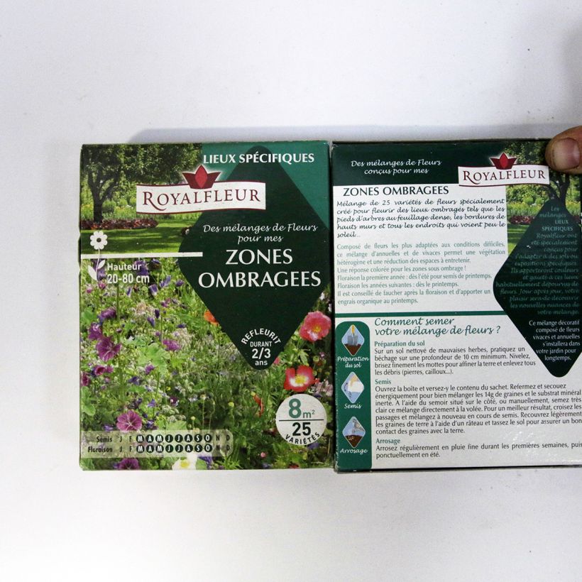 Beispiel eines Exemplars von Schattenmischung - 8 m2 Box die Tüte mit Samen von 14 Gramm wie geliefert