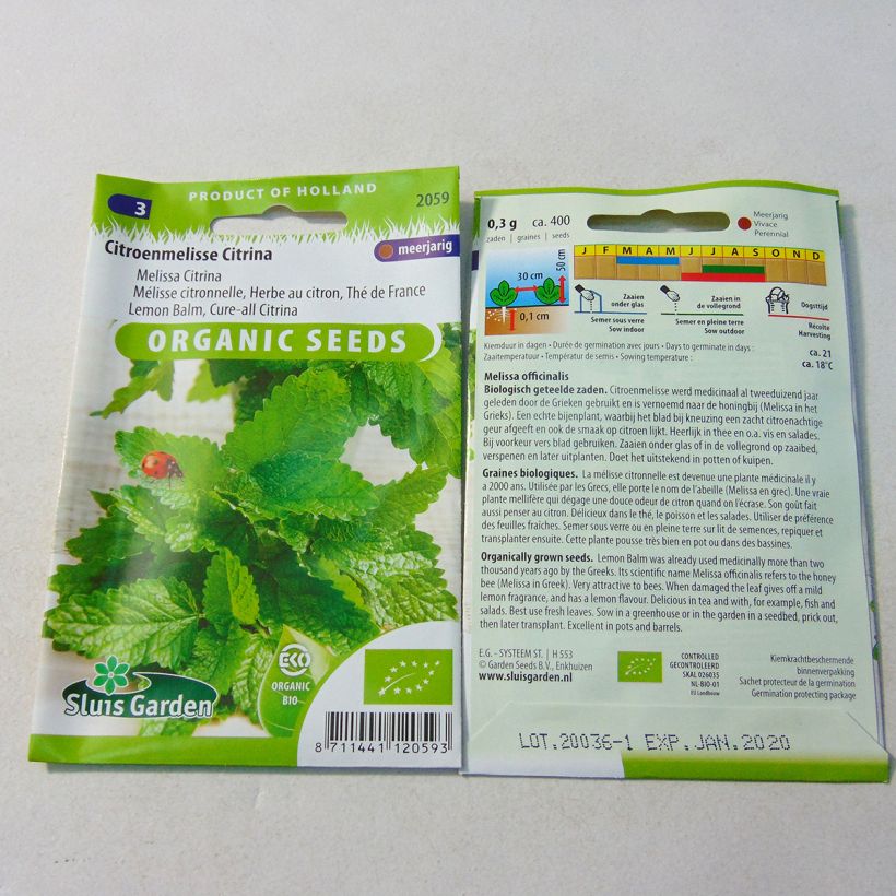 Beispiel eines Exemplars von Melisse - Melissa officinalis Samen Bio die Tüte mit 1000 Samen ungefähr (0,6g) wie geliefert