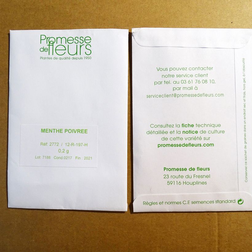 Beispiel eines Exemplars von Pfefferminze (Samen) - Mentha piperita die Tüte mit 2000 Samen ungefähr (0,2g) wie geliefert