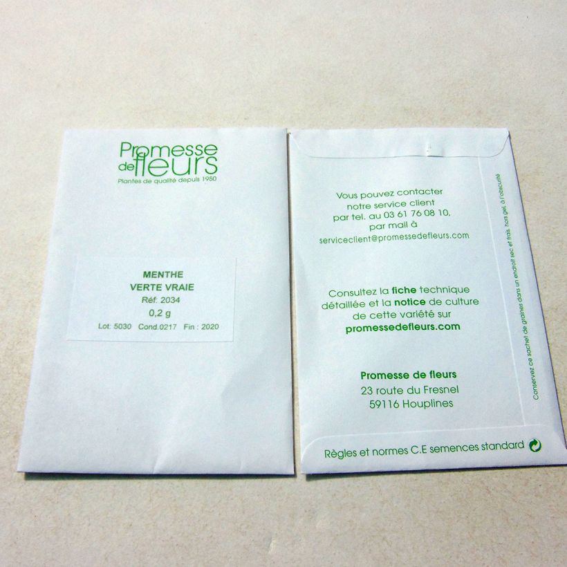 Beispiel eines Exemplars von Ähren-Minze Verte vraie - Mentha spicata die Tüte mit 2000 Samen ungefähr (0,2g) wie geliefert