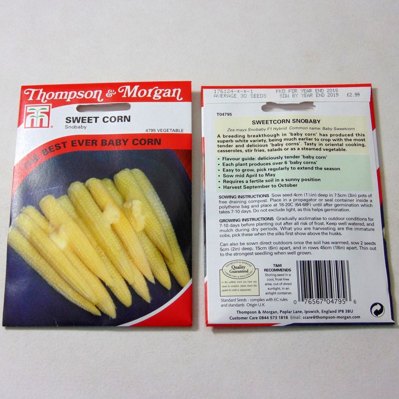 Beispiel eines Exemplars von Mais Snobaby die Tüte mit 30 Samen ungefähr wie geliefert