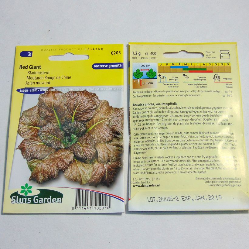 Example of Sarepta-Senf Red Giant die Tüte mit 800 Samen ungefähr (2g) as you get