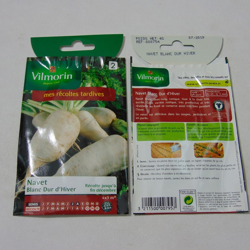 Example of Rübe Blanc Dur d'Hiver - Vilmorin die Tüte mit 1600 Samen ungefähr (4g) as you get