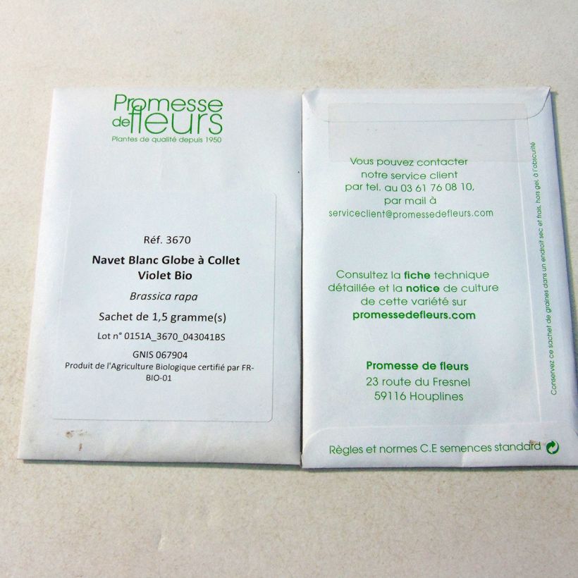 Beispiel eines Exemplars von Rübe Blanc Globe à Collet Violet Bio Samen wie geliefert