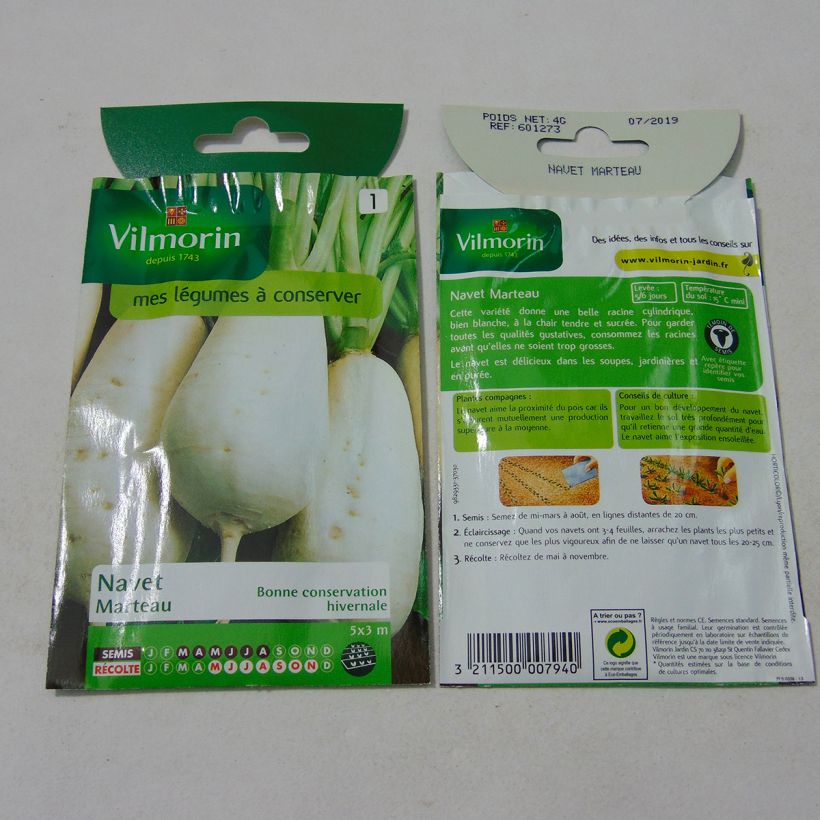 Beispiel eines Exemplars von Rübe Marteau - Vilmorin die Tüte mit 1600 Samen ungefähr (4g) wie geliefert