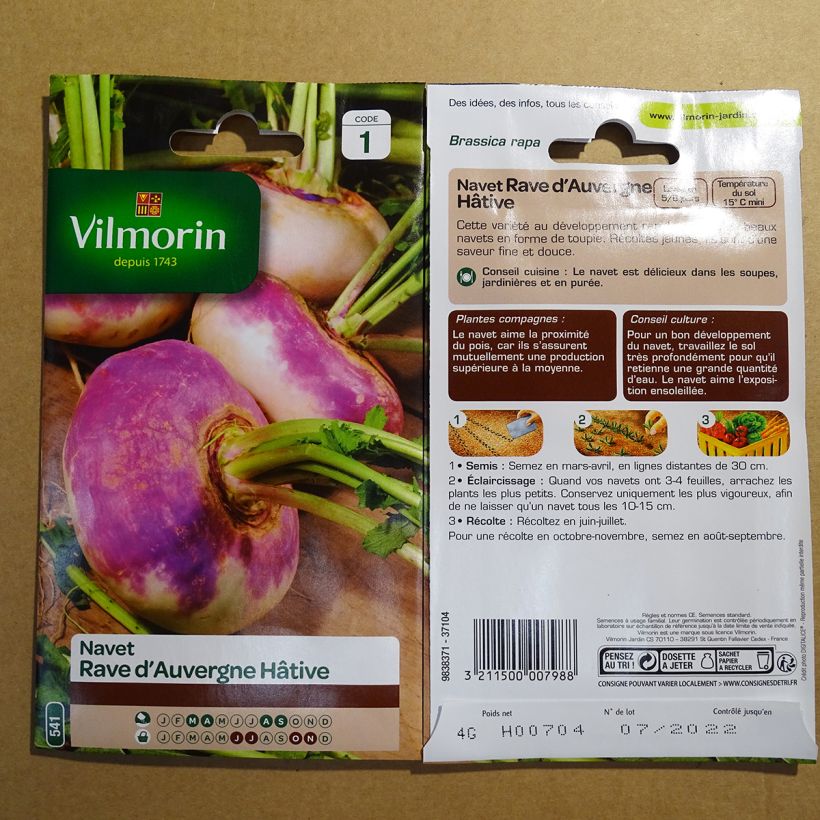 Beispiel eines Exemplars von Rübe Rave d'Auvergne Hâtif - Vilmorin die Tüte mit 1600 Samen ungefähr (4g) wie geliefert