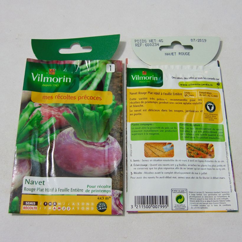 Beispiel eines Exemplars von Rübe Hâtif à Feuille Entière - Vilmorin die Tüte mit 1600 Samen ungefähr (4g) wie geliefert