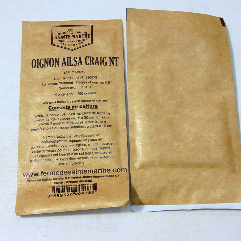Beispiel eines Exemplars von Gemüsezwiebel Ailsa Craig NT- Ferme de Ste Marthe die Tüte mit 250 Samen ungefähr wie geliefert
