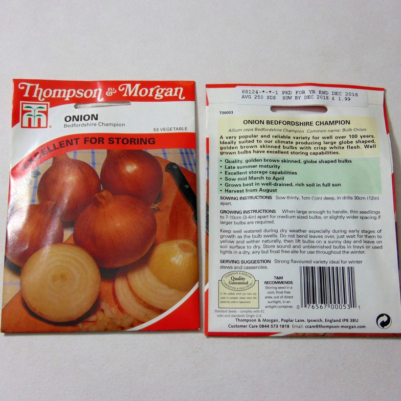 Beispiel eines Exemplars von Küchen-Zwiebel Bedfordshire Champion die Tüte mit 250 Samen ungefähr wie geliefert