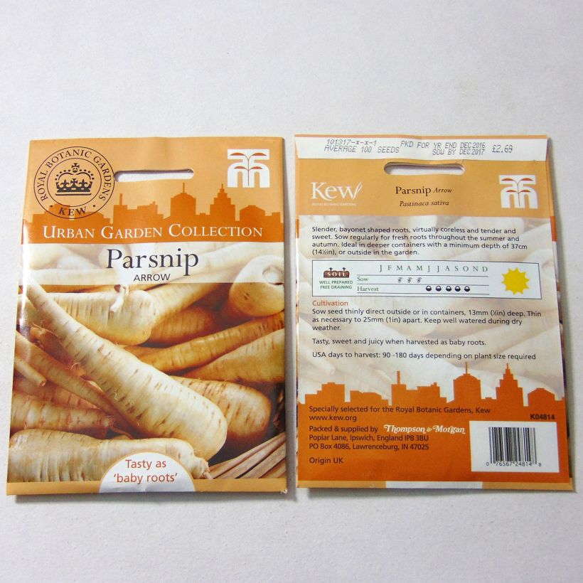 Beispiel eines Exemplars von Pastinak Arrow die Tüte mit 100 Samen ungefähr wie geliefert