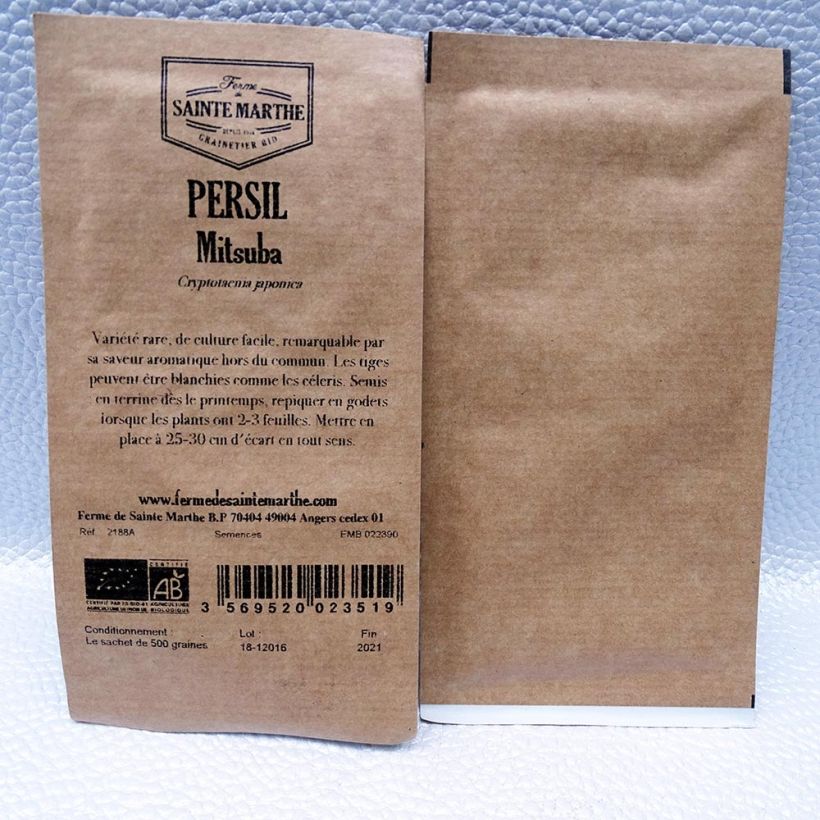 Beispiel eines Exemplars von Mitsuba Mitsuba - Cryptotaenia japonica die Tüte mit 500 Samen ungefähr wie geliefert