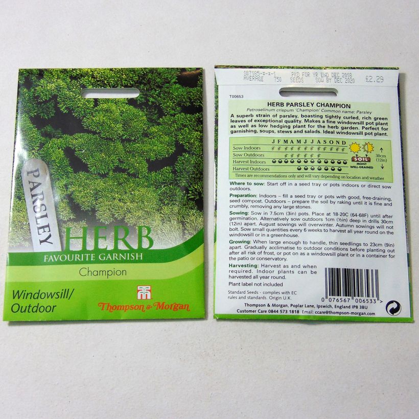 Beispiel eines Exemplars von Garten-Petersilie Champion die Tüte mit 1750 Samen ungefähr wie geliefert