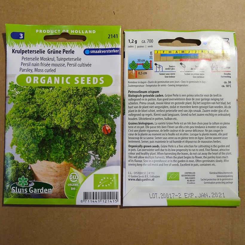 Example of Garten-Petersilie Perle Verte Grüne Perle die Tüte mit 1200 Samen ungefähr (2g) as you get
