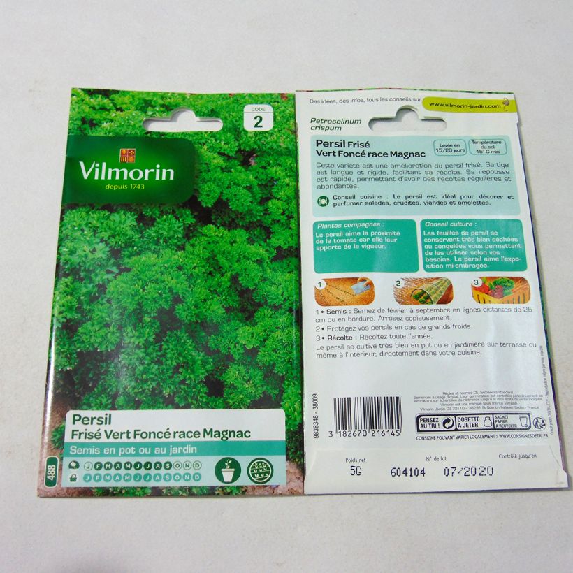 Beispiel eines Exemplars von Garten-Petersilie vert foncé race Magnac die Tüte mit 3000 Samen ungefähr (5g) wie geliefert