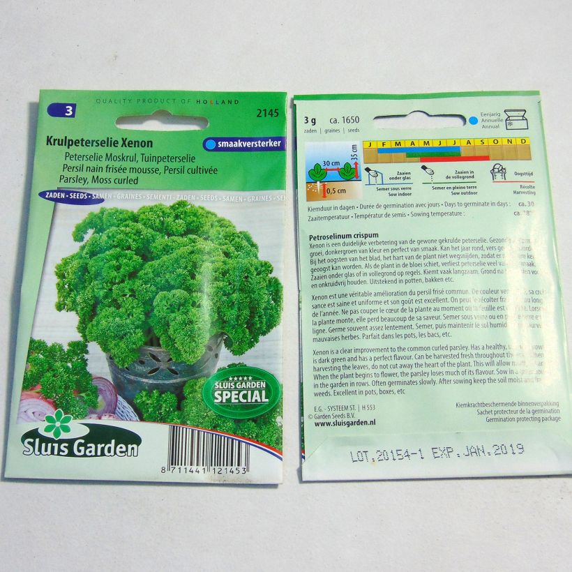 Example of Garten-Petersilie Wega die Tüte mit 1650 Samen ungefähr (3g) as you get