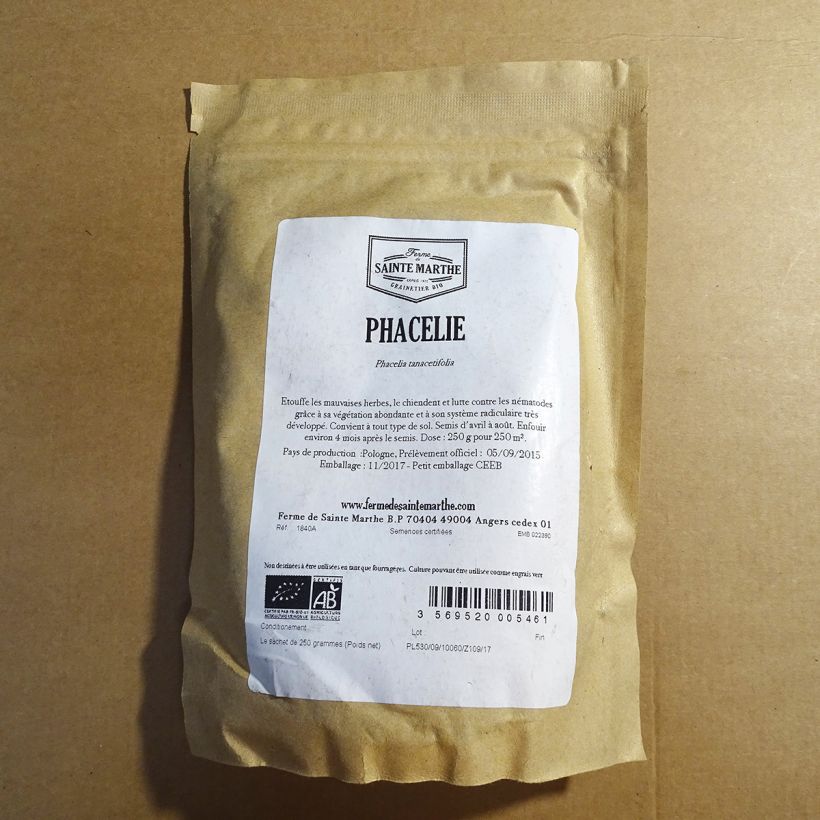 Beispiel eines Exemplars von Büschelschön - Phacelia Tanacetifolia die Tüte mit Samen von 250 Gramm wie geliefert