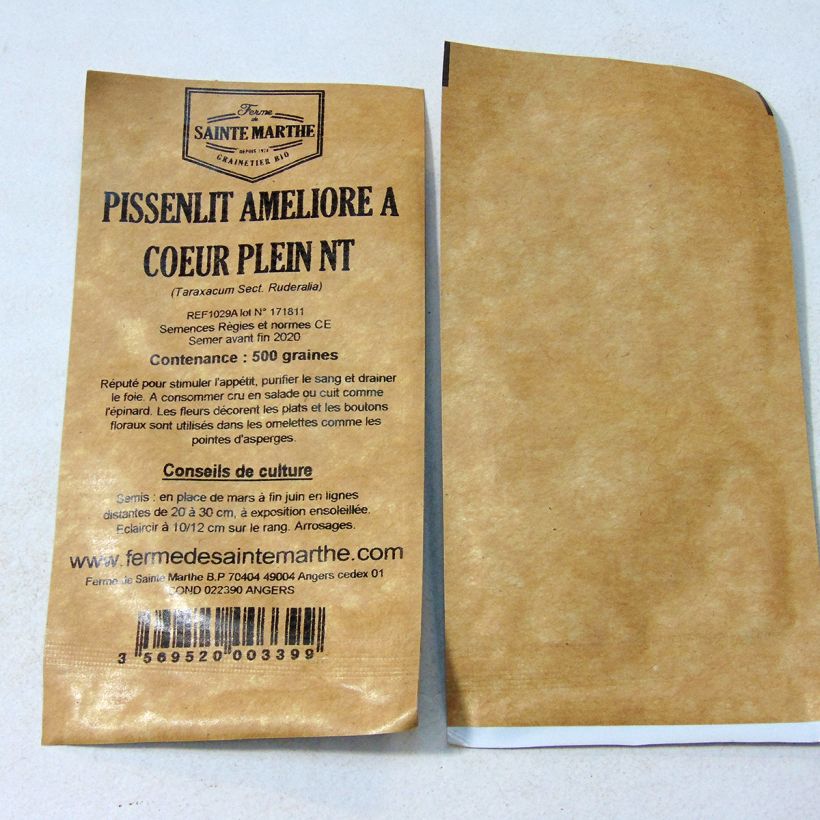 Beispiel eines Exemplars von Wiesen-Löwenzähne Cœur Plein amélioré - Taraxacum officinale die Tüte mit 500 Samen ungefähr wie geliefert