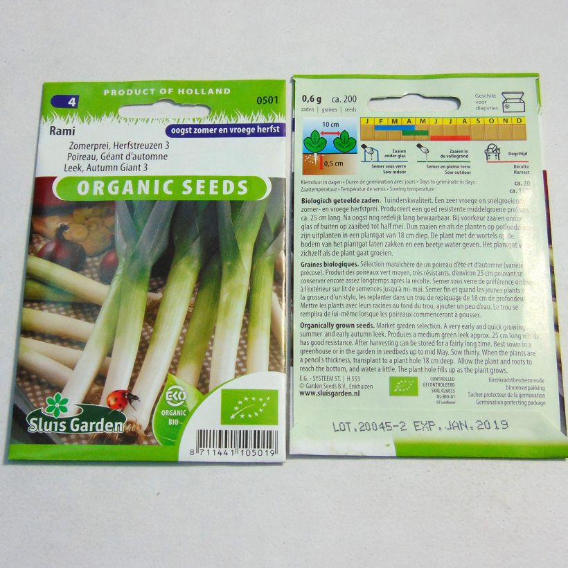 Beispiel eines Exemplars von Lauch-Porree Géant d’automne 3 Rami Bio die Tüte mit 200 Samen ungefähr wie geliefert