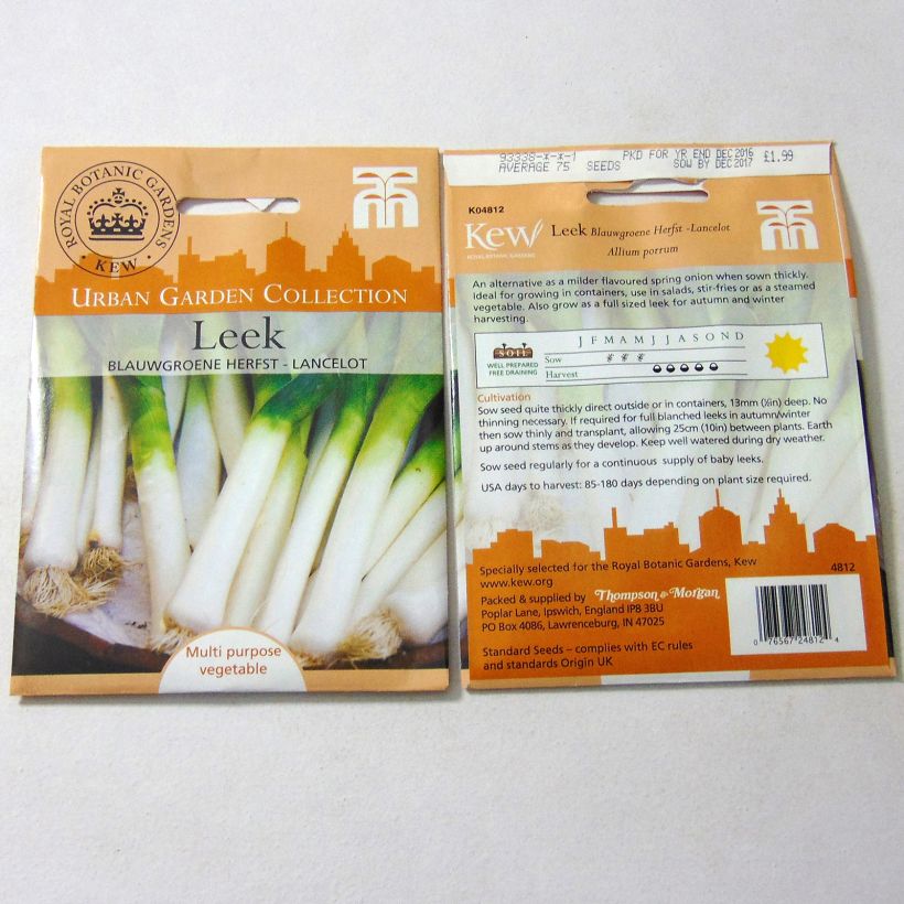 Beispiel eines Exemplars von Lauch-Porree Lancelot die Tüte mit 250 Samen ungefähr wie geliefert